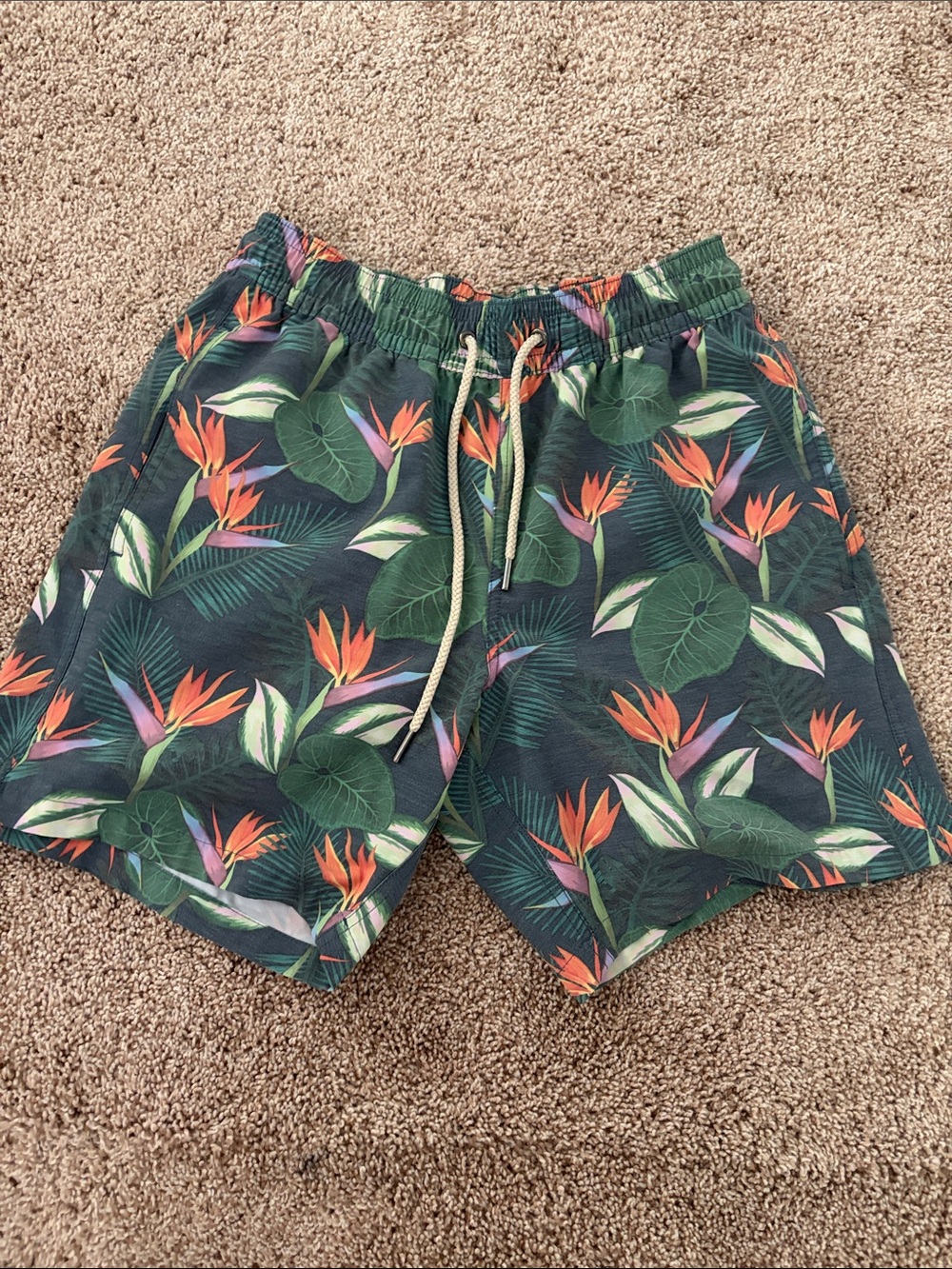 Men's Fair Harbor Green Tropical Print Swim Trunks